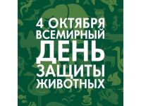 Лужские волонтеры отметили День защиты животных