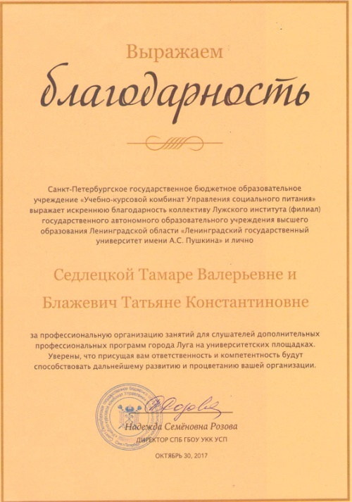 Благодарственное письмо от директора СПб ГБОУ «Учебно-курсовой комбинат Управления социального питания» Розовой Н.С.
